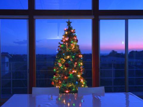 DEC 2014 South cottage