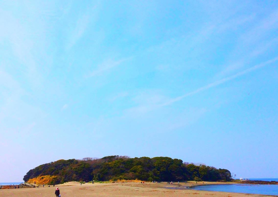 海辺の鑑定団と海藻収穫体験