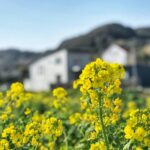 10ème  Anniversaire〜10周年を迎えて