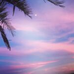 お客様の声 2018 Summer