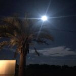 お客様の声 2020 Summer