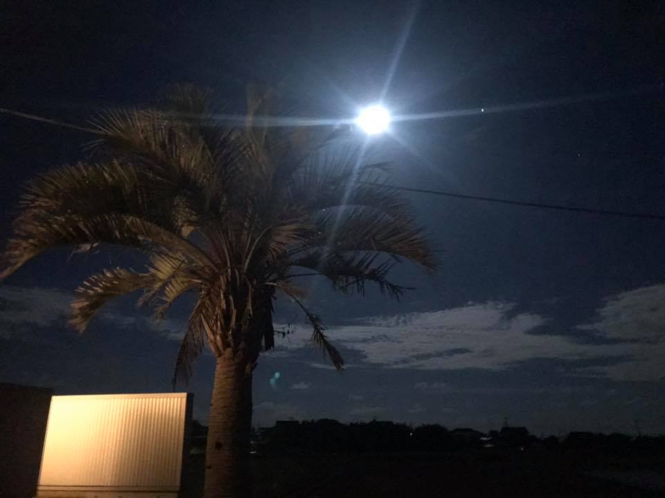 お客様の声 2020 Summer