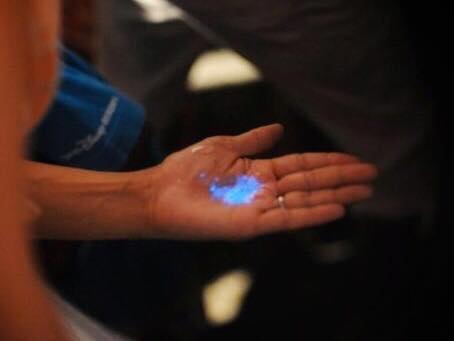 ?夏休みを遊ぼう! ルファーレのおすすめ体験 2019?