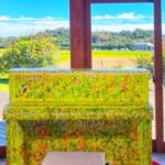 「音楽の種まき」を終えて、所感