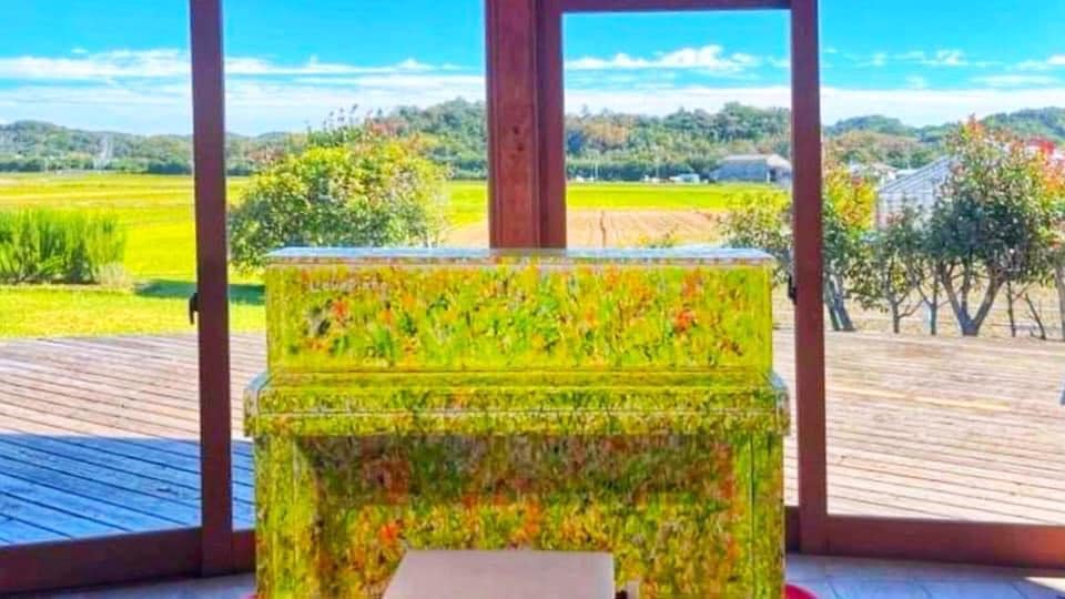 「音楽の種まき」を終えて、所感