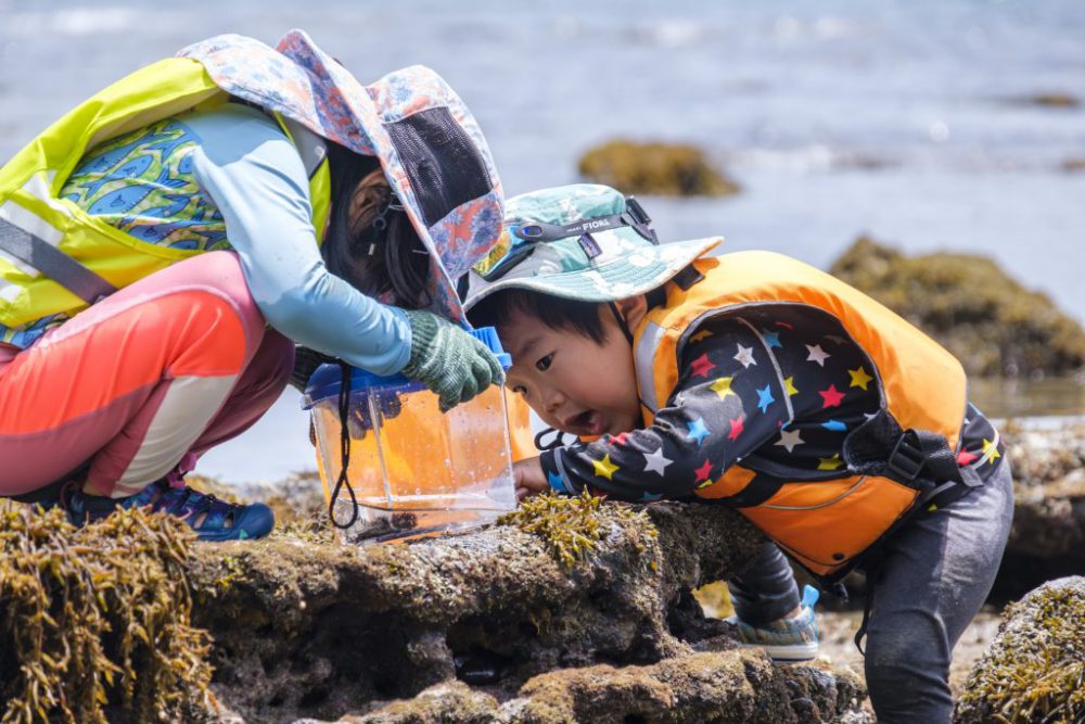 ファミリーワーケーションに!お子さまを預かる自然体験 Olaga for kids